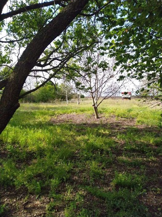 Будинок с.Червонокам'яне, 25км від Дніпра, Велика зем.ділянка.ВЛАСНИЦЯ