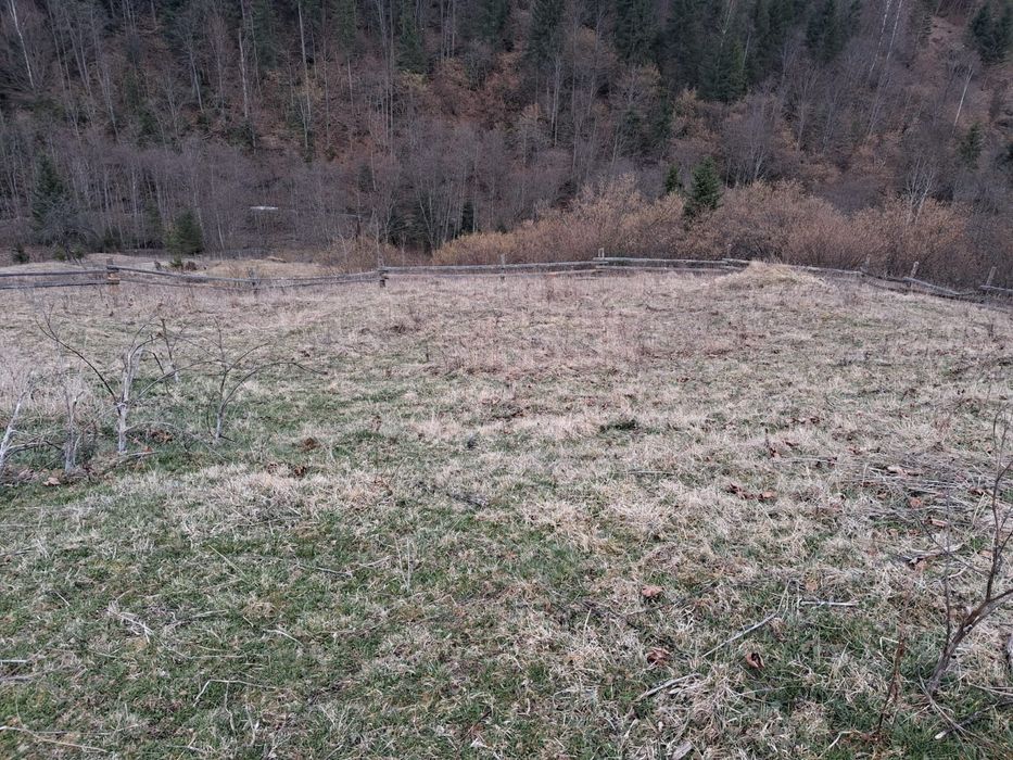 Земельна ділянка Криворівня