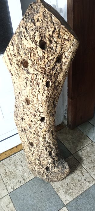 vendo sepo. madeira para garrafeira