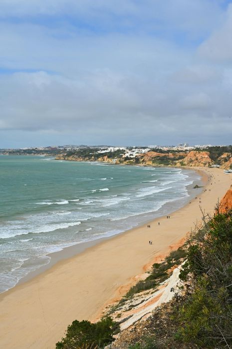 Aulas de francês e português online + traduções FR/PT