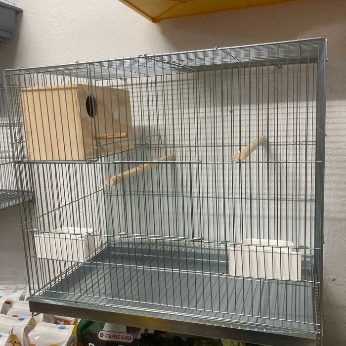 NOVO - Gaiola Zincada para Agapornis 60x55x36cm