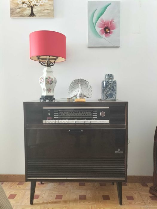 Gira Discos Vintage Grundig