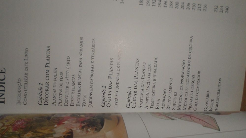 O grande livro das plantas de interior