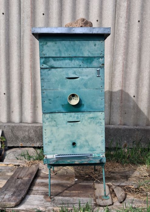 Вулики дерев'яні дадан на 10 /12 рамок