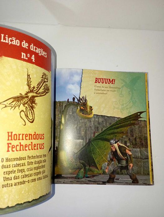 Guia de Bocarra para combater Dragões