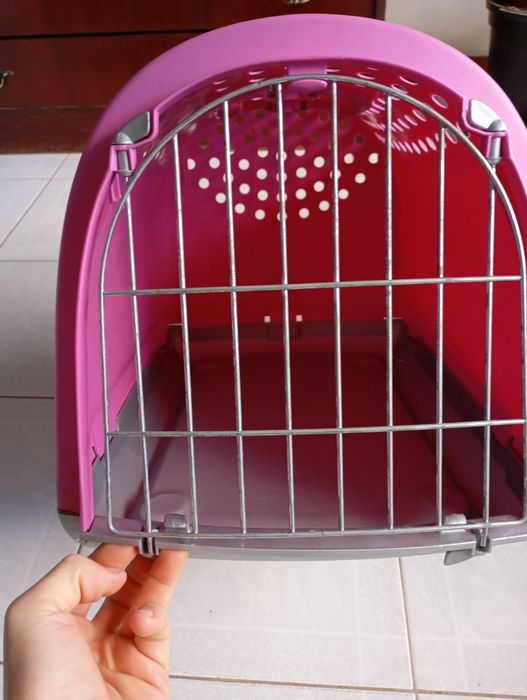 Vendo transporte gato