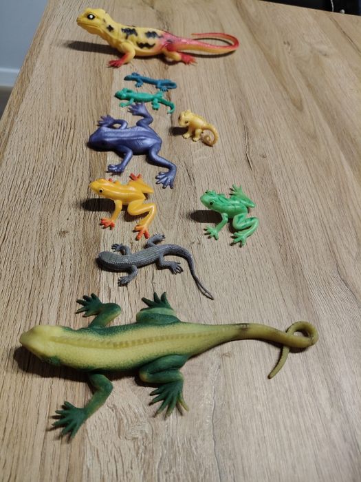 Zestaw gumowych płazów