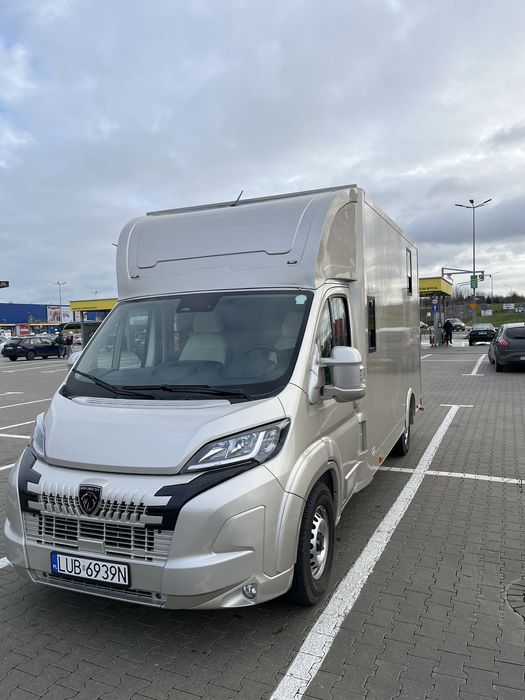 Renault Boxer  Koniowóz Peugeot Boxer 2024, 29.000 km, nowa zabudowa - na gwarancji