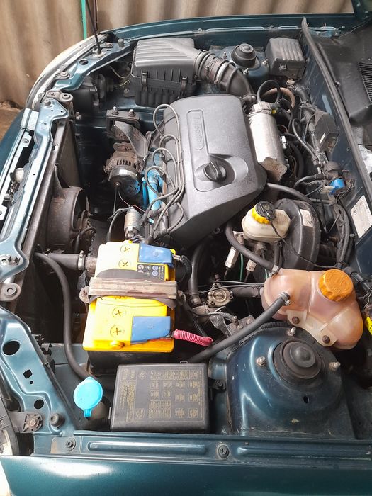 Део сенс 2006 год