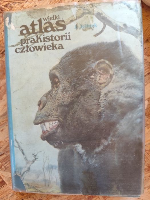 Wielki atlas prehistorii człowieka