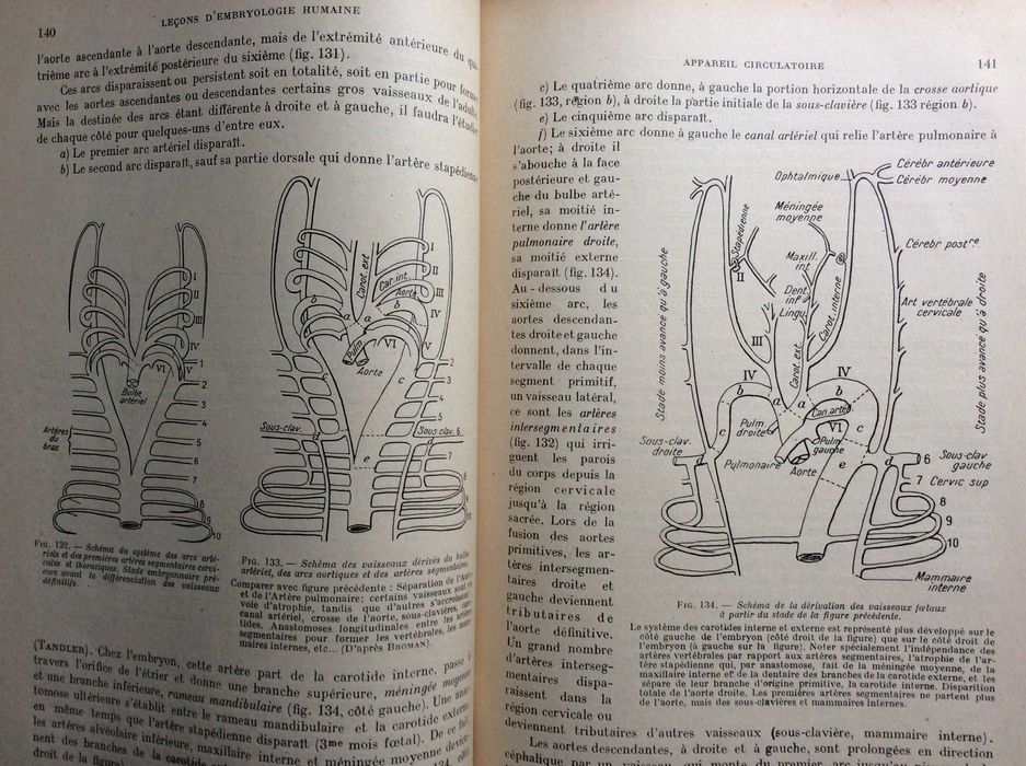 Leçons d'Embryologie Humaine, 1929. Raro