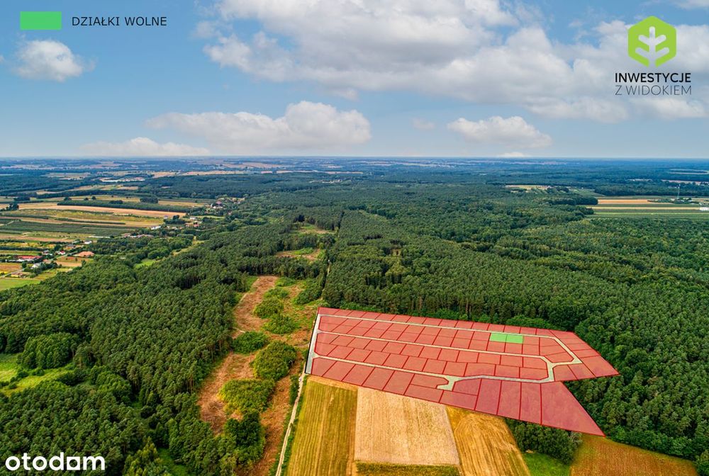 Ostatnie działki w tej cenie - 55 min od Warszawy