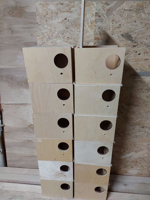 Budki lęgowe dla papug falistych