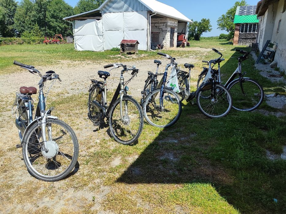 Rower holenderski SPARTA, BATAVUS, GIANT, KOGA
