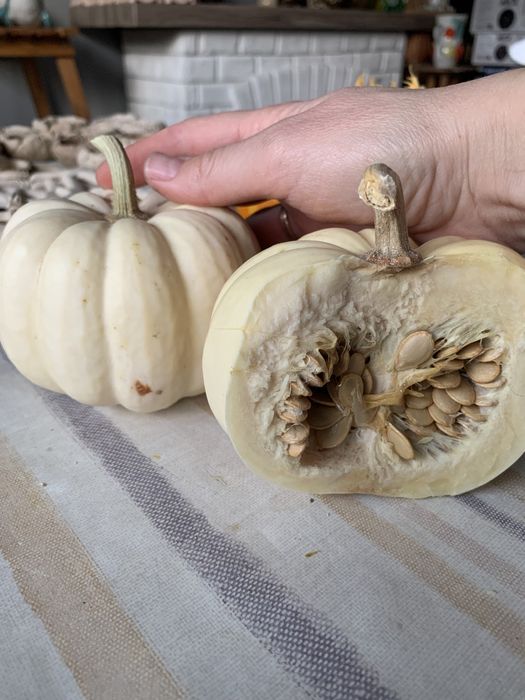 Насіння декоративних гарбузів