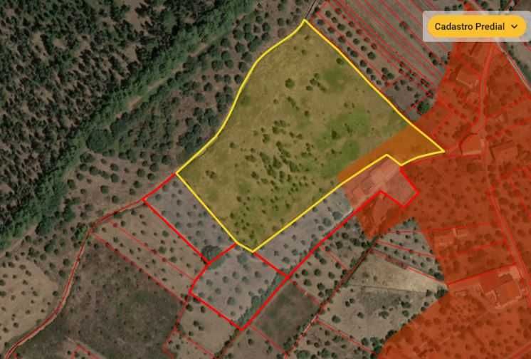 Terreno para construção: 1,2 ha Rego da Murta - Ferreira do Zêzere