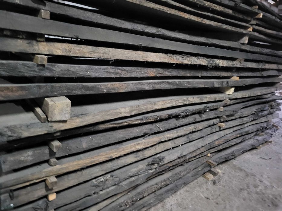 czarny dąb, brusy czarny dąb, dąb bagienny, black oak, dąb czarny