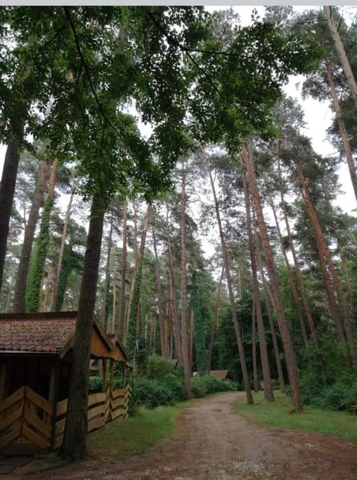 Do jeziora 90 m Domek nr 3 Letniskowy Mazury noclegi