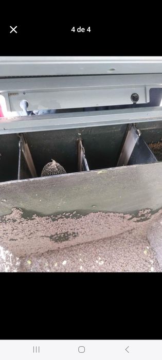 Vendo aquário como novo