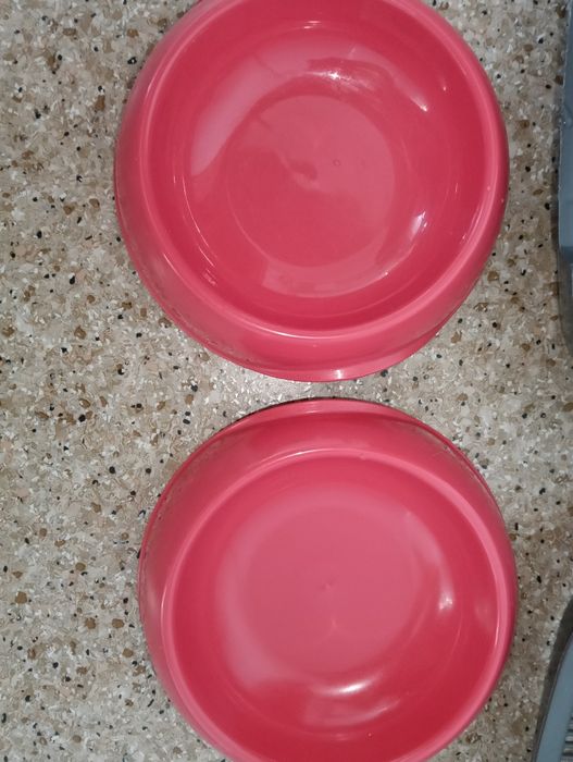 Лоточки для кошечки.