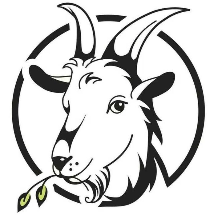 Козиний сир, бринза, творог з молока альпійських кіз. Найнижча ціна!