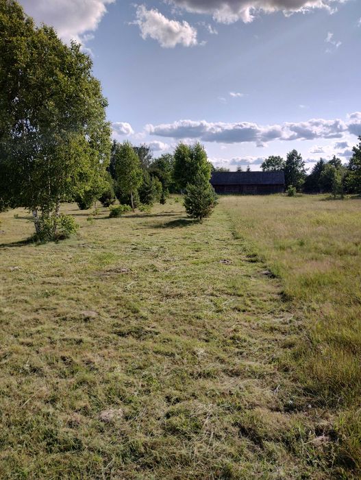Ładna działka z WZ, wodą przy drodze asfaltowej, powiat wołomiński - Widok 3