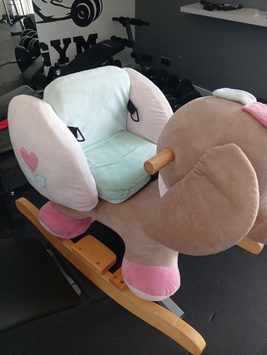 Słonik na biegunach