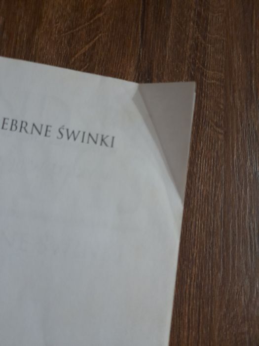 Srebrne Świnki Lindsey Davis