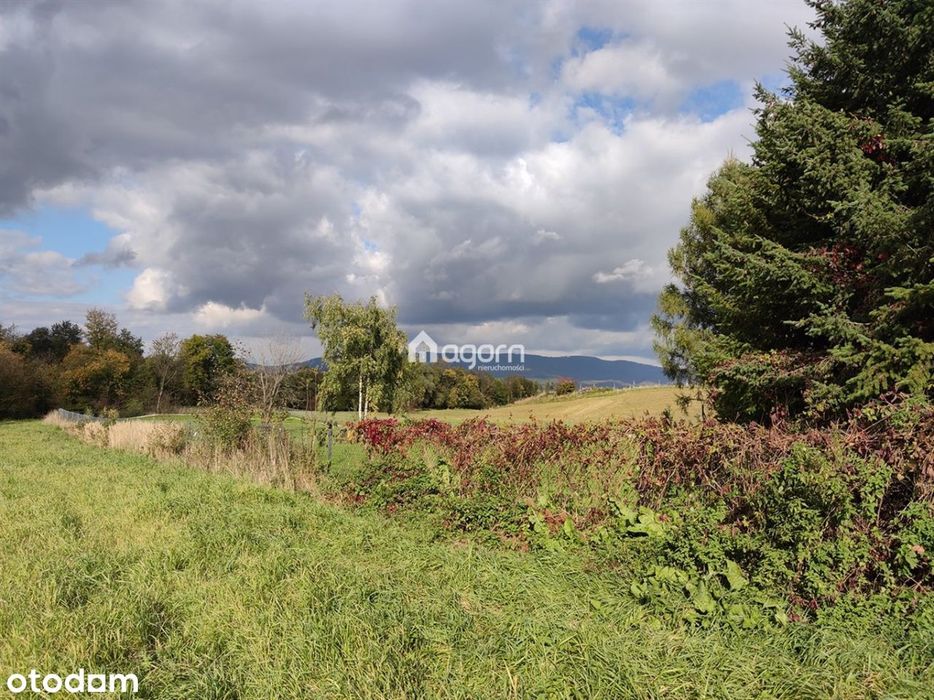Działka 26ar, widok, spokojne otoczenie, media - Widok 3