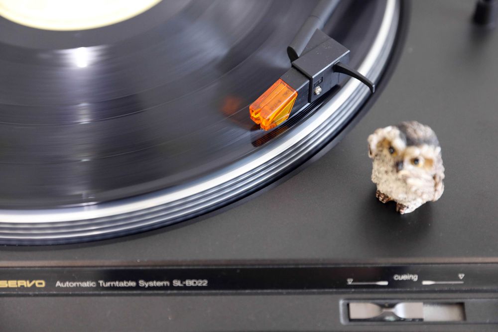 Technics SL-BD22 Gira discos