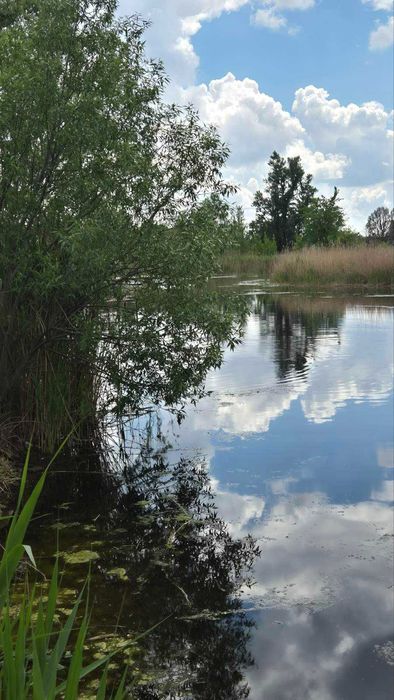 ПРОДАМ помещение Шоссейная 23 ЦЕНТР  ( Подгородние) 100 м2  53 000 $