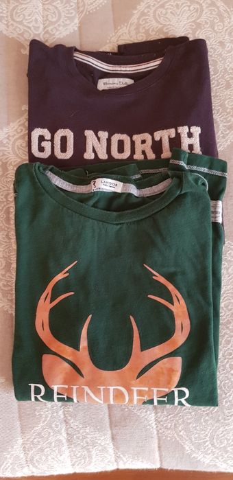 2 Sweathirts algodao 9/10 anos rapaz