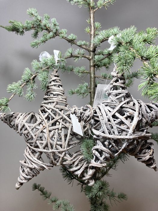 Duże gwiazdy rattan wiklina nowe szare