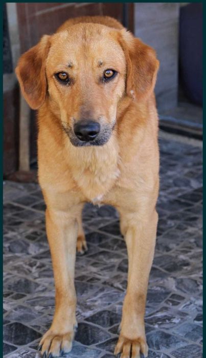 Nora oaza spokoju bardzo zrównoważona .