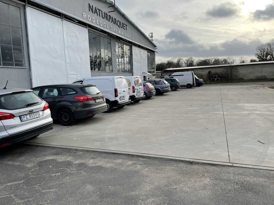 Hurtowa i detaliczna sprzedaż drewnianych podłóg dębowych - Poznań