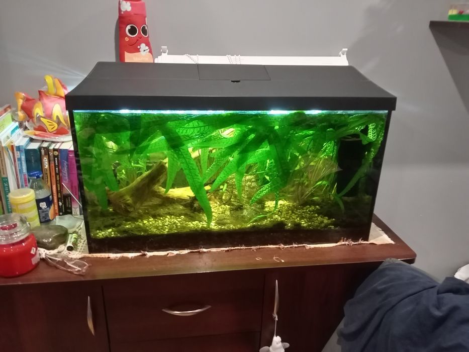 Akwarium 105l dla rybek