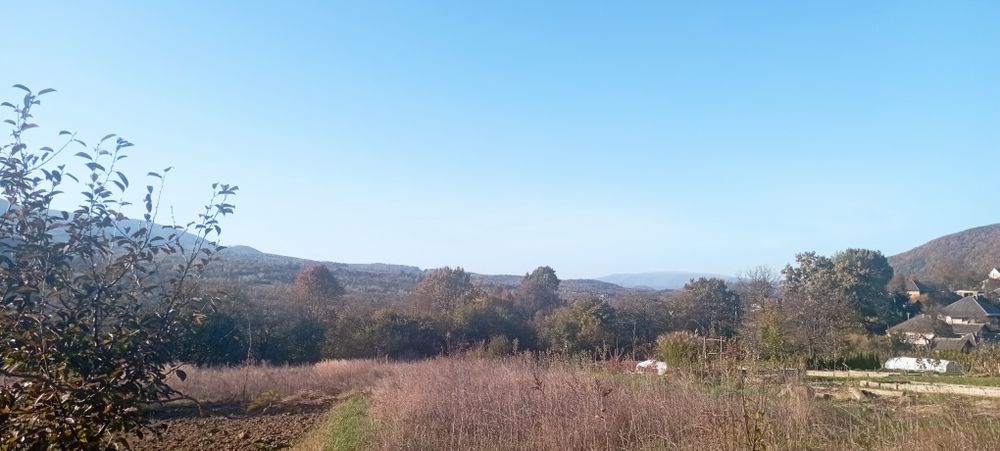 Ціну знижено! Продамо будинок та 25 соток Голубине на пагорбі