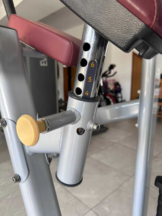 MAQUINA GLUTEOS MATRIX