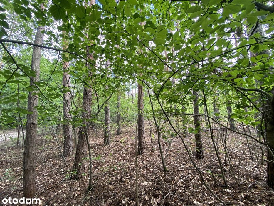 Działka 1500 m² pod zabudowę jednorodzinną w Legionowie.