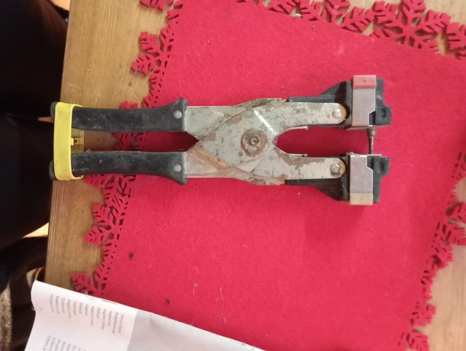 Kolczykownica bydła