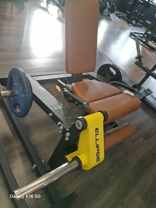 Leg Extension Livre