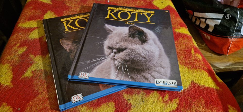 Koty rasy wielka encyklopedia 2 sztuki