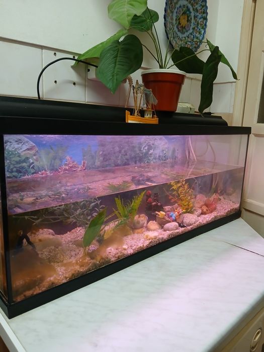 Aquário de 1 m usado em bom estado
