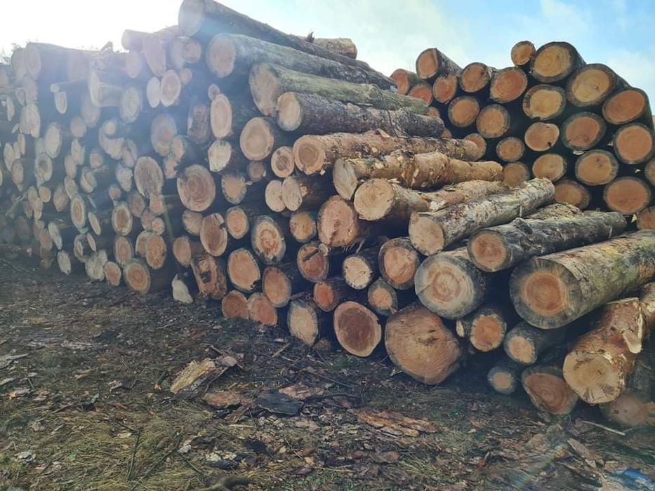 Drewno Opałowe, walki, kominkowe.