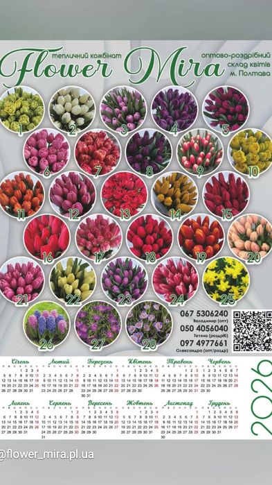 Тюльпан оптом від виробника  (опт роздріб) доставка квітів Полтава