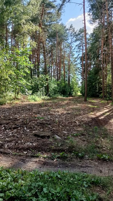 Sprzedam nieruchomość gruntową - Widok 2