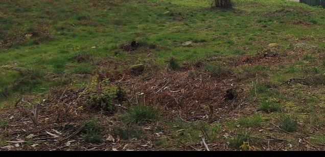 Dou terra para tirar