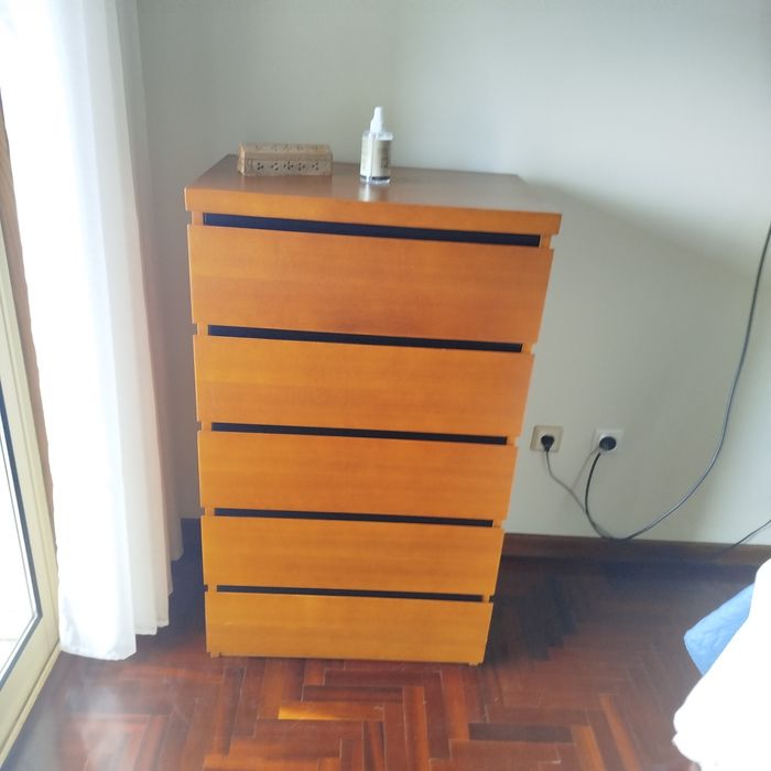 Camiseiro em bom estado de conservação