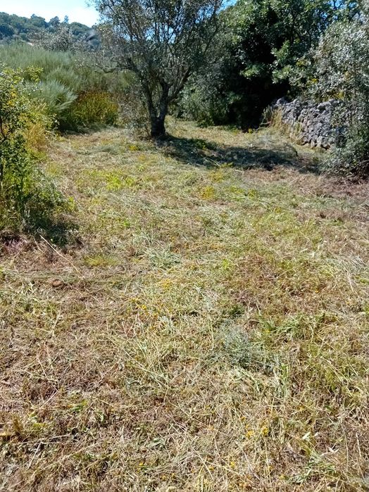 quinta  s mamede urra Alentejo Portalegre