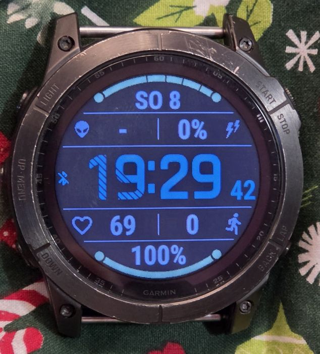 Garmin fenix 7 pro